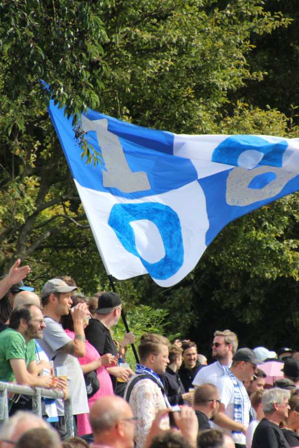 RS19409 IMG 2514 original