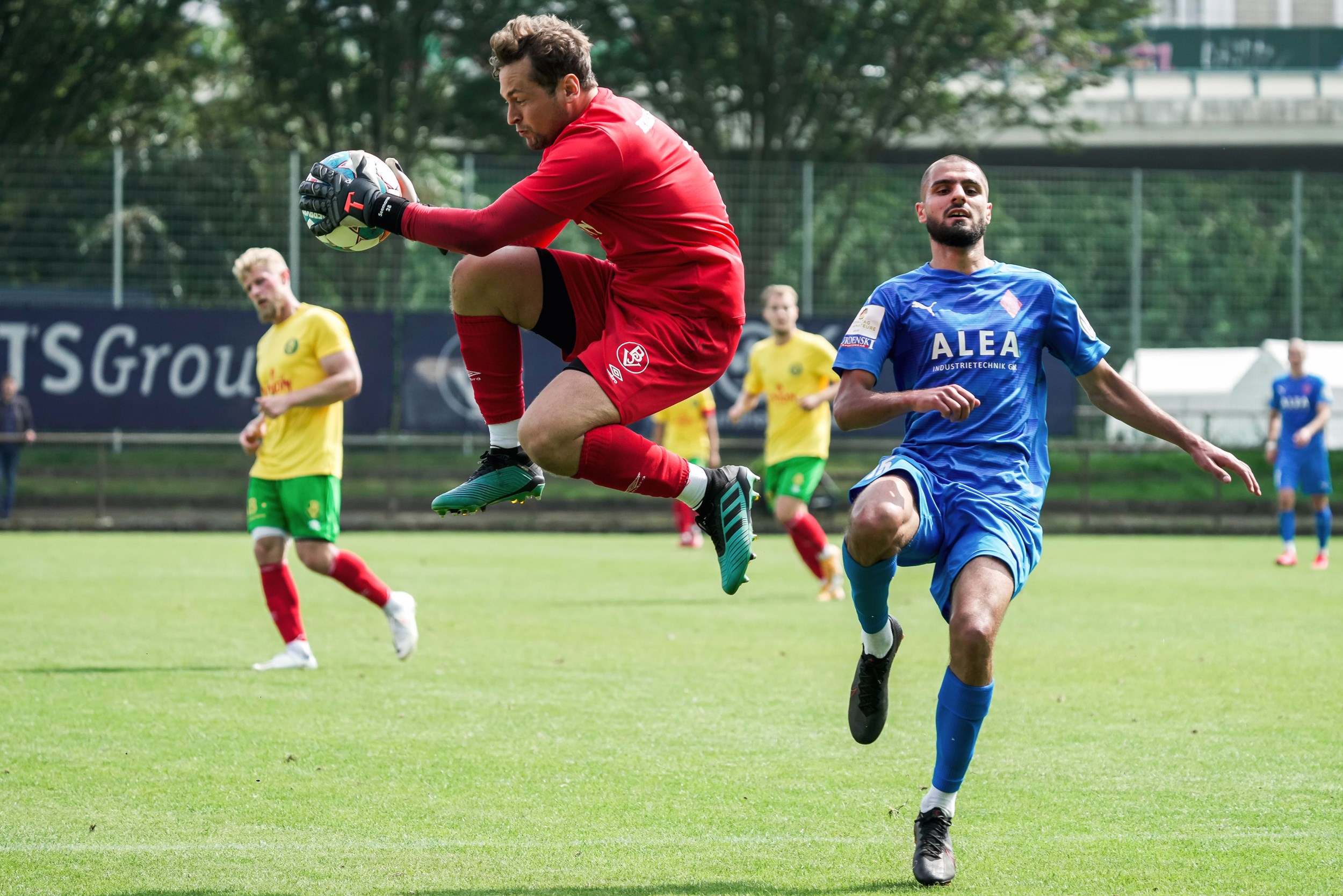 Der offizielle Bremer SV Kalender 2022 - DIN A3