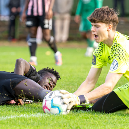 RS20238 20231003 BSVSCS SP 0113 Verbessert RR original