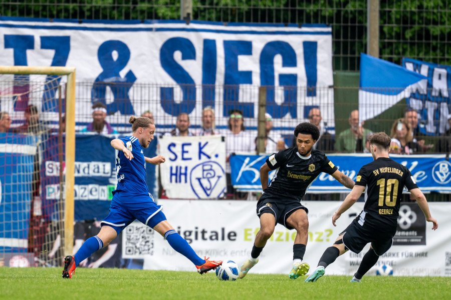  Foto: Sven Peter
