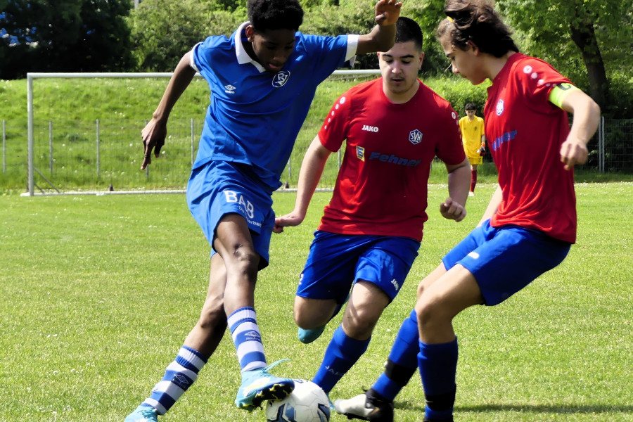  Foto: Bobby Blue / Torsten Bobrink