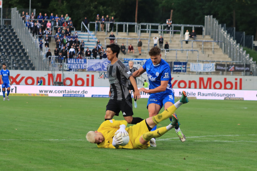   Foto: SV Meppen