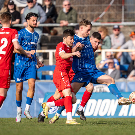 20260308 BSVFSV SP 0111