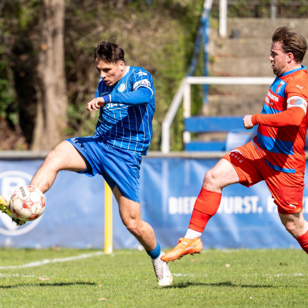 20260329 BSV SP 0150