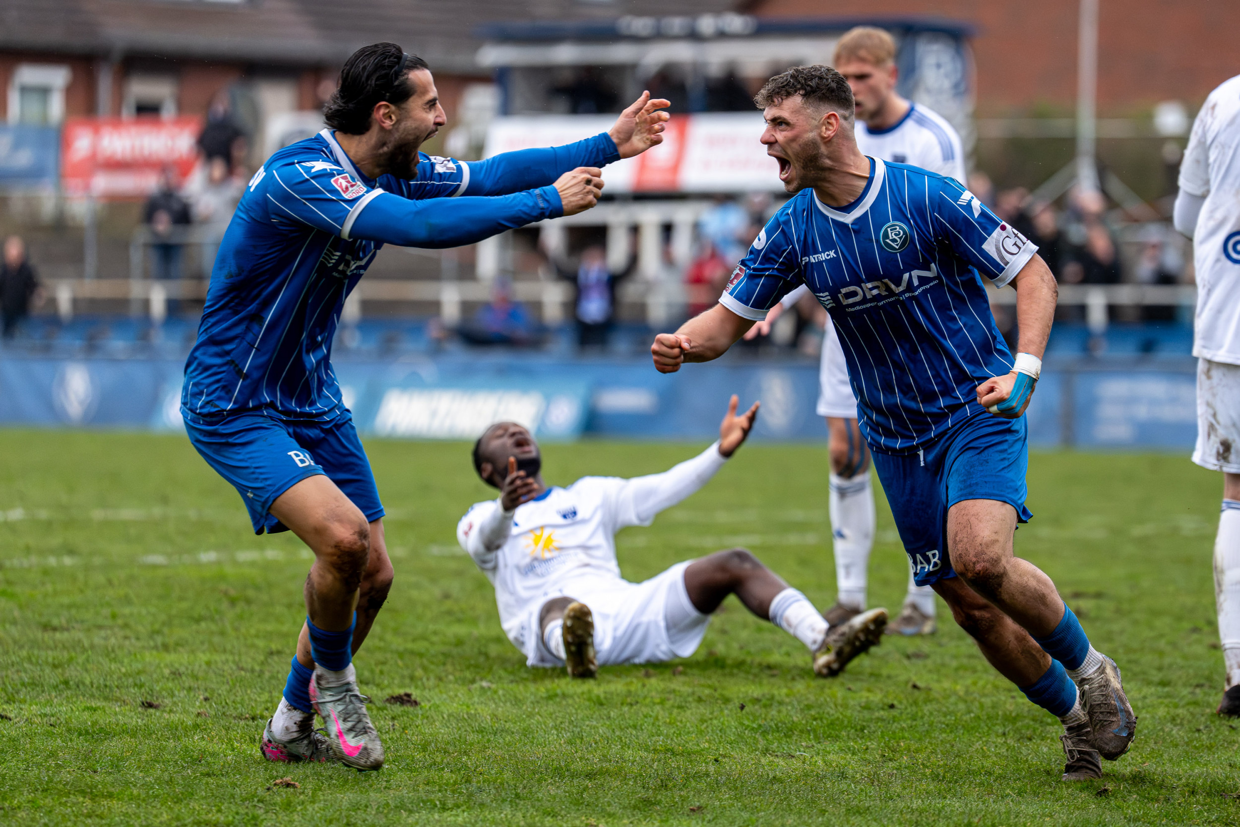 Vier Eier ins Nest gelegt 