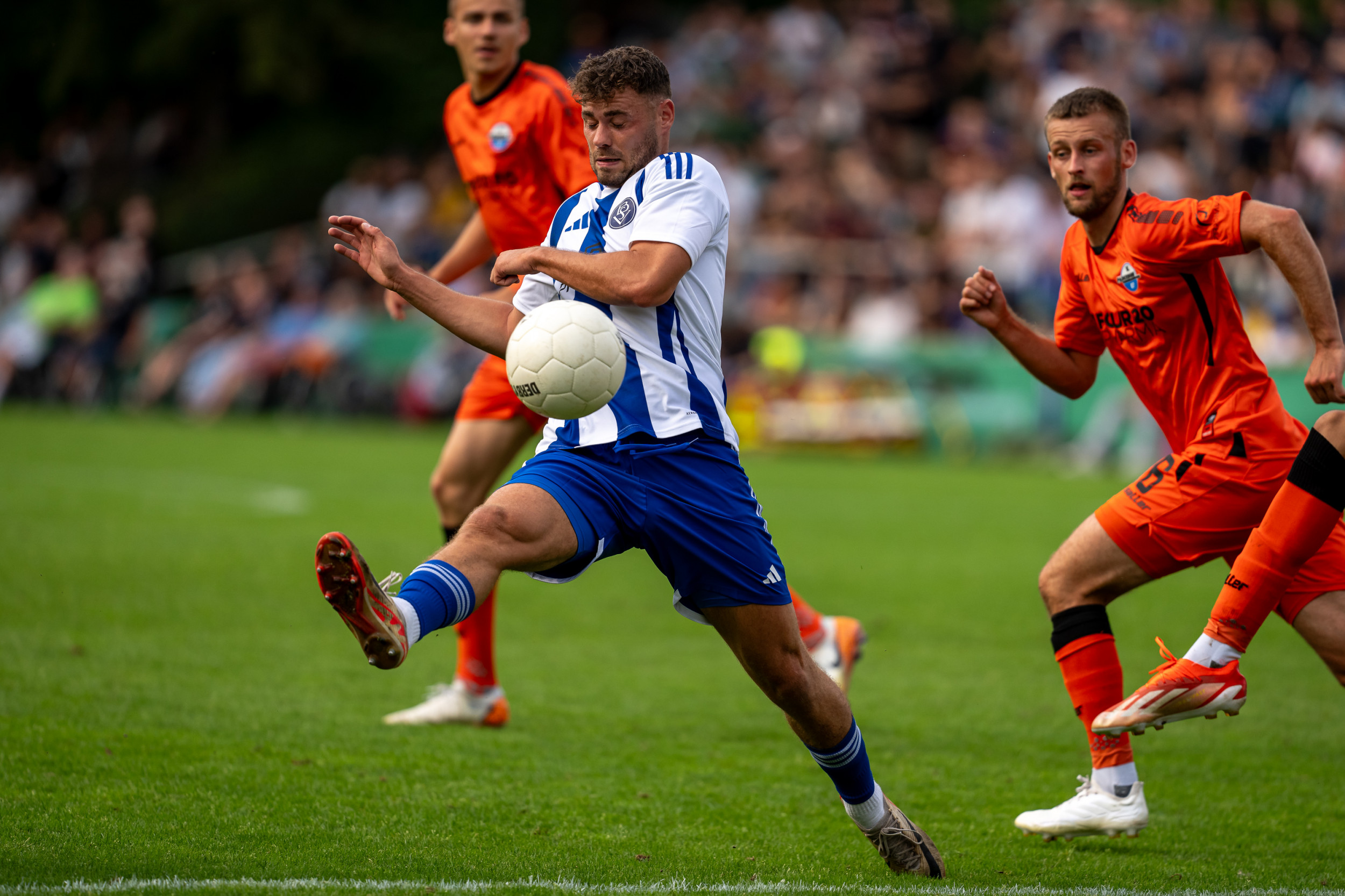 Jan-Luca Warm bleibt am Panze!